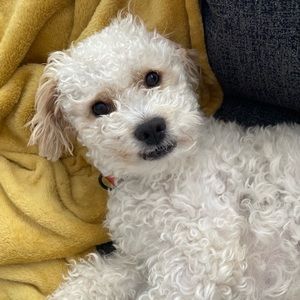 Meet your Posher, Emina